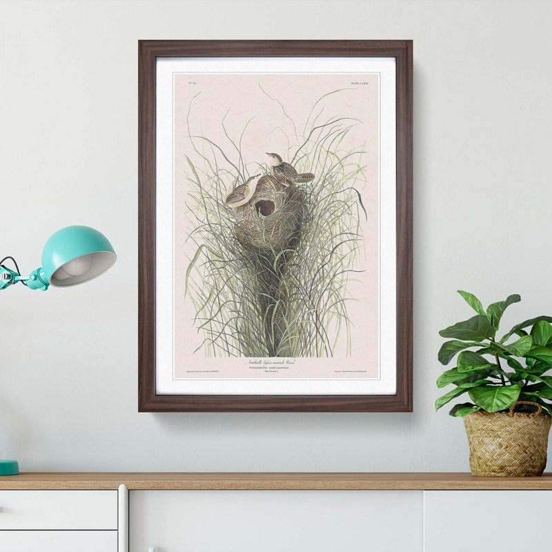 Two Wrens by John James Audubon - Framed Print, 48cm H x 36cm W x 2cm D, Walnut Framed