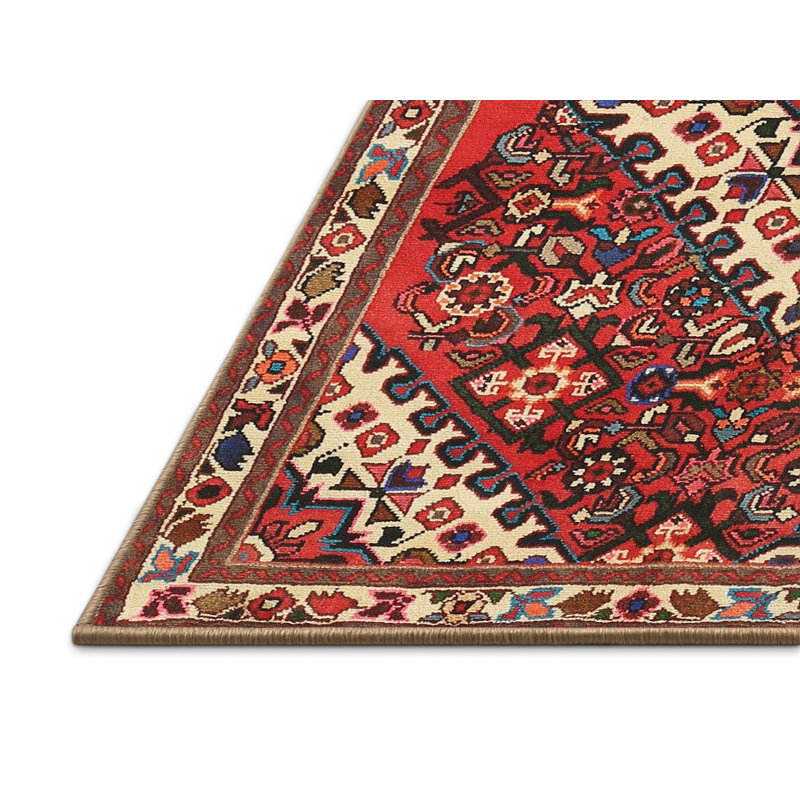 Tapis brun/noir/crème traditionnel Argie, Rectangle 3 pi x 5 pi