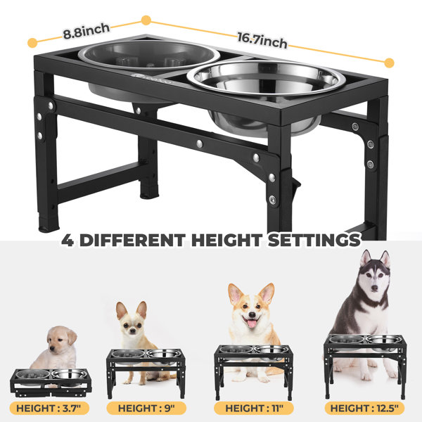 Elevated Dog Bowls 4 Adjustable Heights with Wooden Stand for Indoor  Outdoor Pet Dishes for Cats