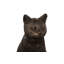 Cat Sitting Sculpture, Bronze-767237732