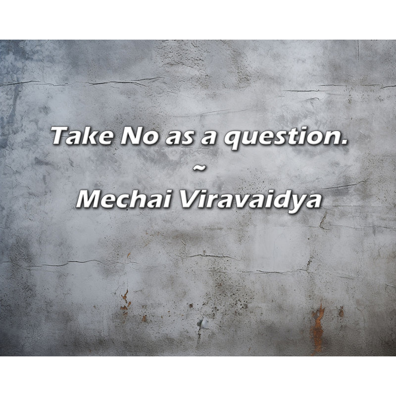 Citation artistique «Take No as a question». Toile tendue par Mechaï Viravaidya, H 48 po x l 33 po