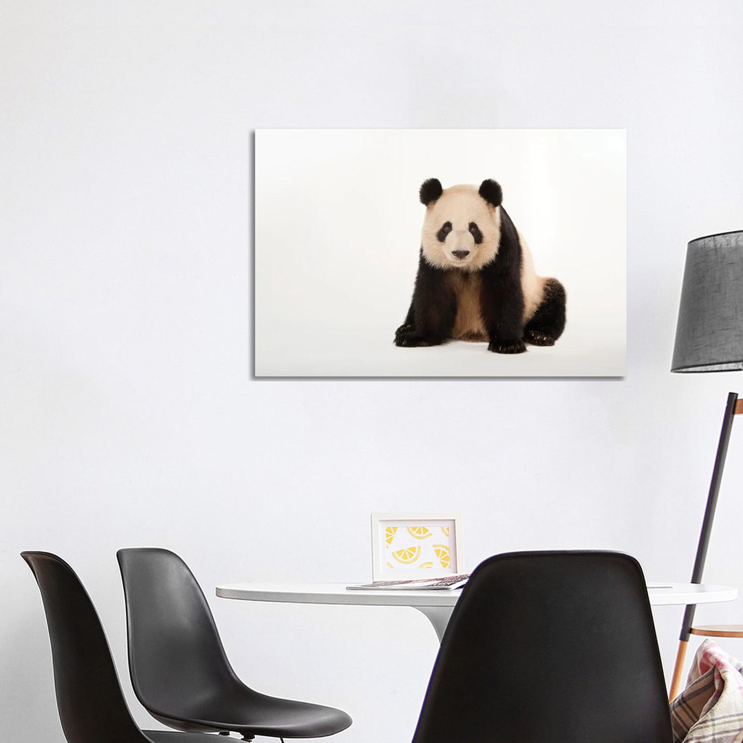 A Giant Panda At Zoo Atlanta V von Joel Sartore - Gallery-Wrapped Canvas Giclée on Canvas