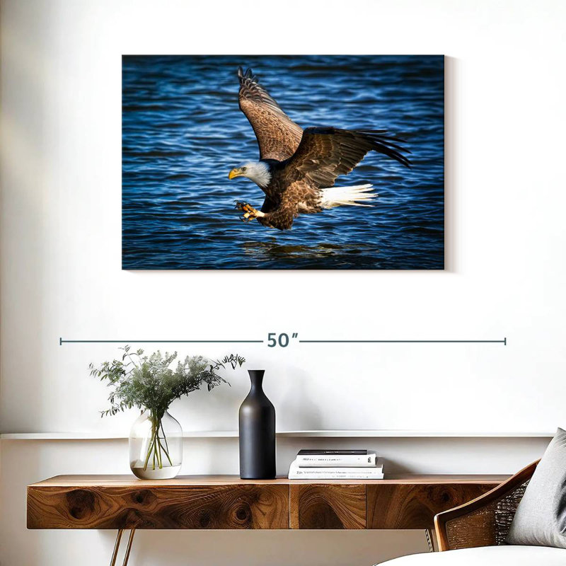 Bald Eagle Fishing