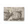 Kisor Chenille Indoor Rug