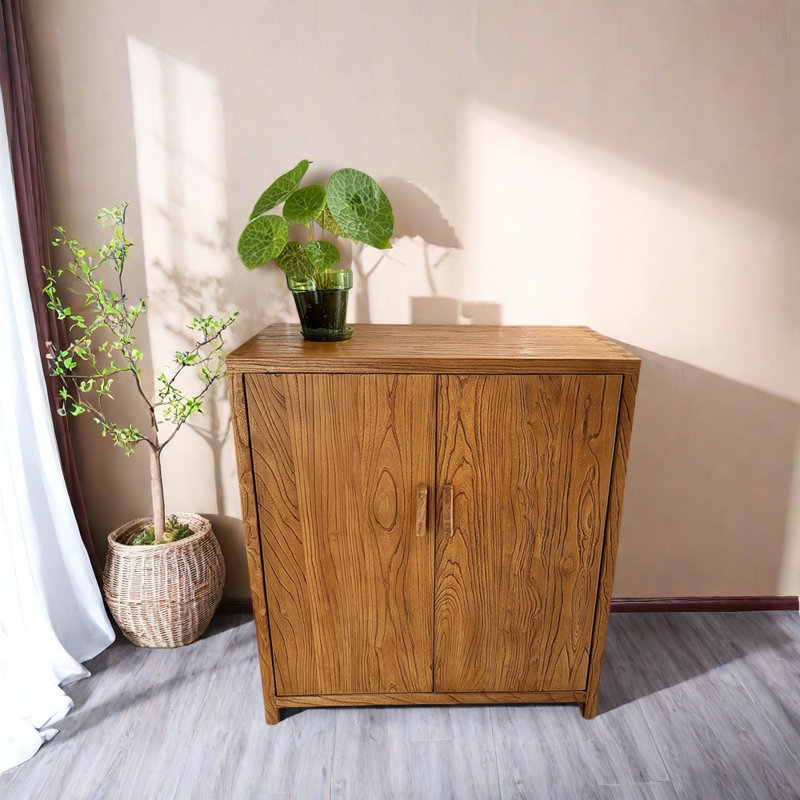 Console Cabinet with Two Doors