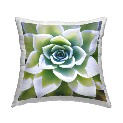 Floral Indoor/Outdoor Throw Pillow