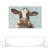 " Curious Cow "-1669505399-1669505402-1709531462