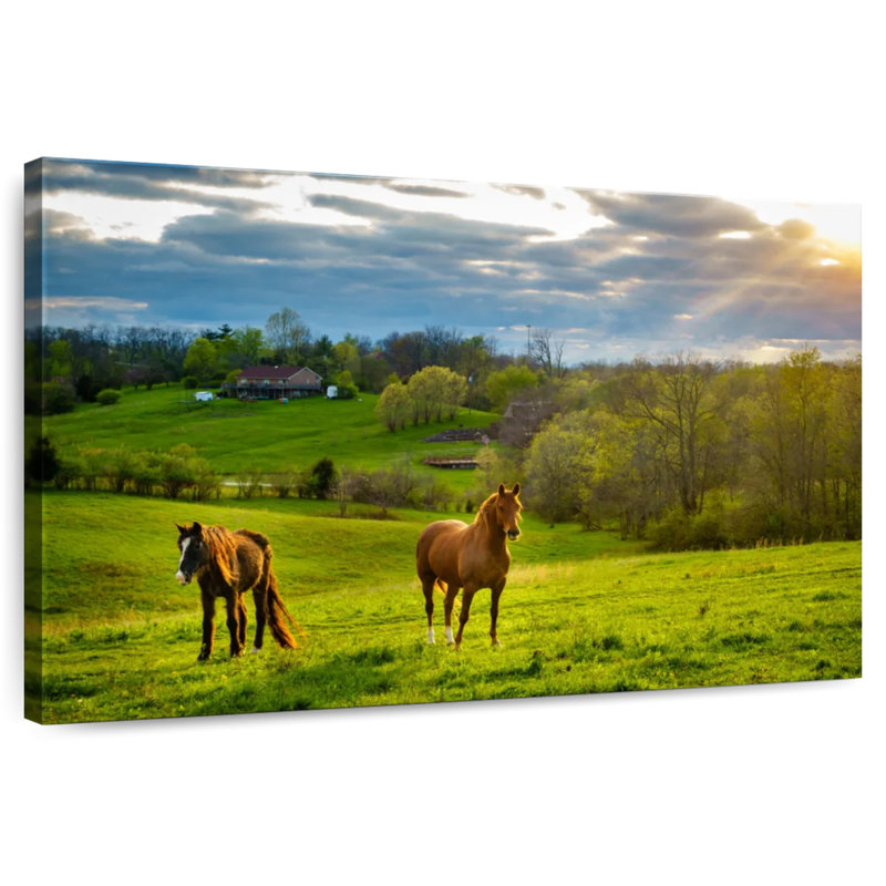 Horse Farm, 32" H x 48" W