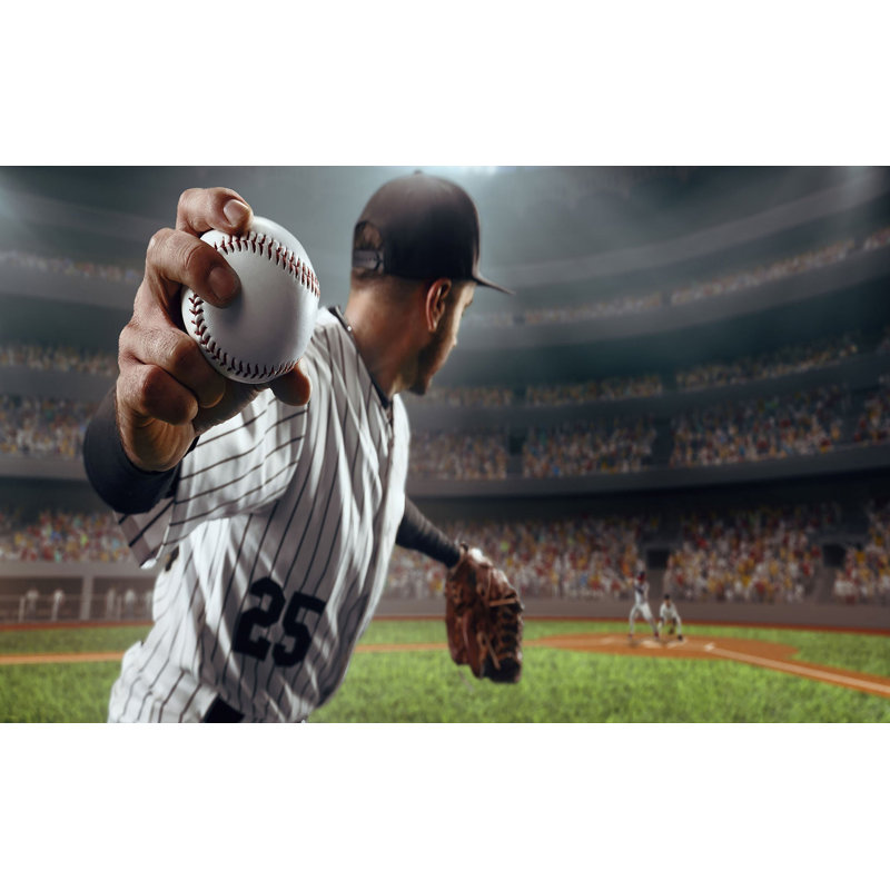 Murale pelez et collez de qualité supérieure - Baseball Pitch Action, L 144 po x l 210 po