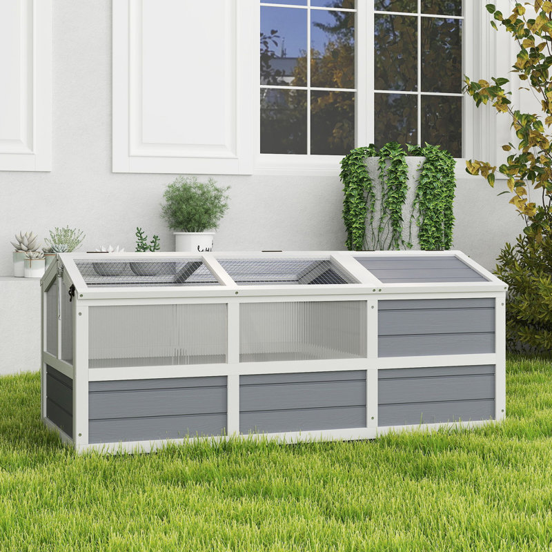 Tortue Habitat