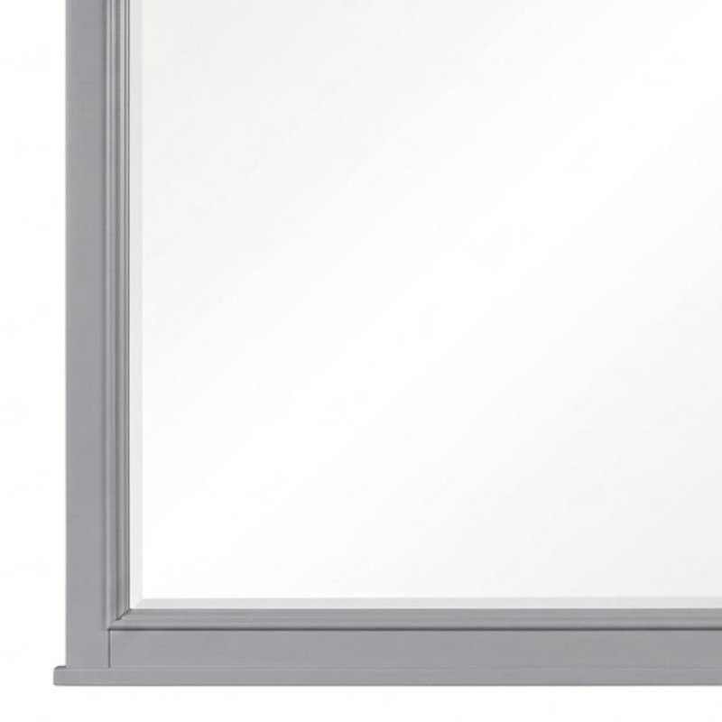 Pheby Gray 40 In. W X 42 In. H Transitional Rectangle Wood Framed Mirror