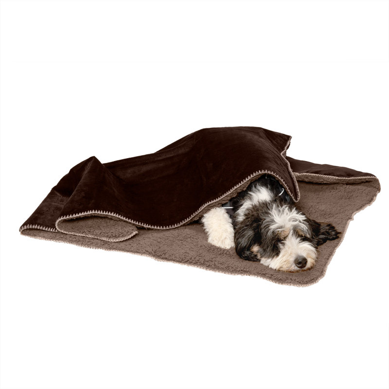 Pet Blanket, Espresso, (0.5" H x 40" W x 50" L)