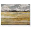 «Meadow Shimmer I» par Nan, reproduction d'art sur toile tendue-1302662848