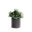 Faux Succulent Plant in Ceramic Planter