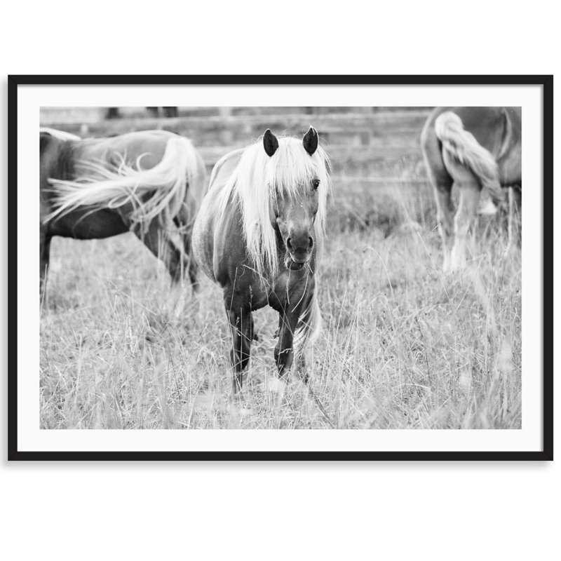 Blonde Bombshell - photographie avec cadre photo, Bois noir, L 25 po x H 18 po