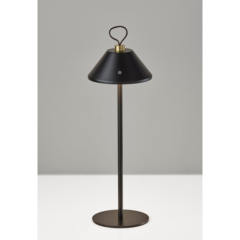Danny LED Cordless Table Lamp, Black