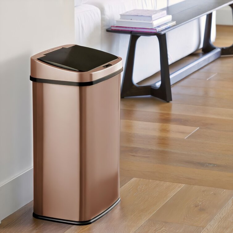 Wayfair Basics Bruder Plastic 13 Gallon Step on Trash Can Wayfair Basics Color: Bronze