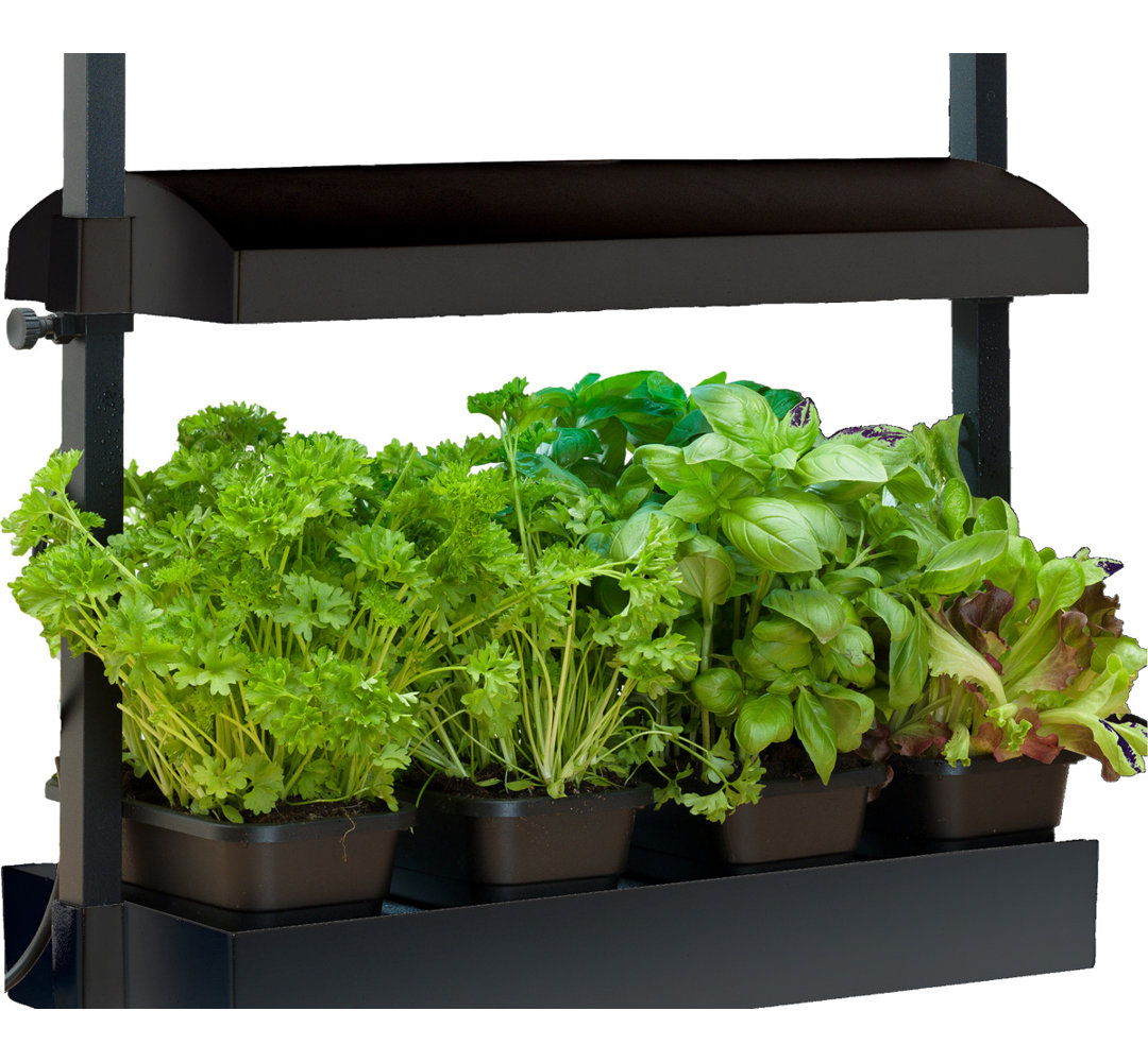 Garden Growing Kit Sunblaster 