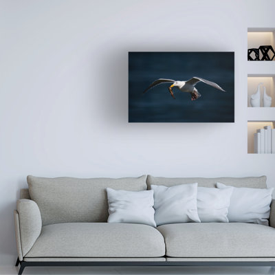 David H Yang Seagull Catching Fish Canvas Art