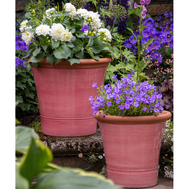 Kitchen Planter, 37" H x 41" W x 41" D, Pink/Orange