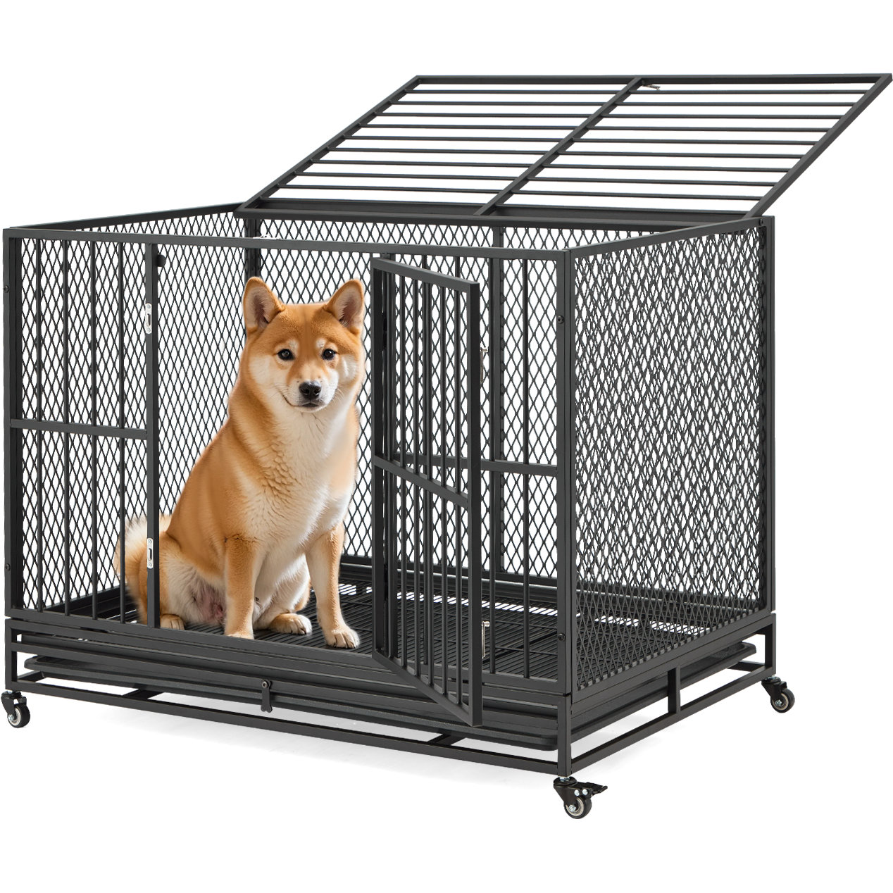 Photo inspiration: Assembly Dog Crates For Small Puppies Reference: Tucker Murphy Pet Heavy Duty Dog Crate