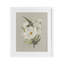 «Paper Flowers Lush Blossoms», reproduction encadrée sous verre, conçue par House Fenway-1612360973-1612361011