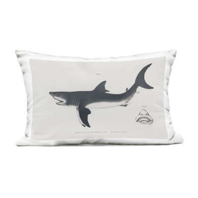 Detailed Shark Diagram Design by Phillipa Katz Outdoor Printed Pillow