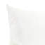 Coussin 14 x 22 Avanti - Poly Insert-100919353