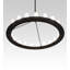 21 - Light Chandelier