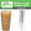 Petits gobelets jetables en plastique transparent de 10 oz Ecoqualité sans couvercle pour Smoothie à froid, café glacé, parfait, jus, soda, cocktail et tasses de fête (250)