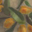 Citrus Still Life par Jess Engle-1350190056