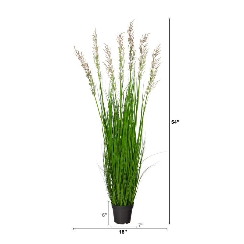 54'' Faux Plume Grass Grass in Pot