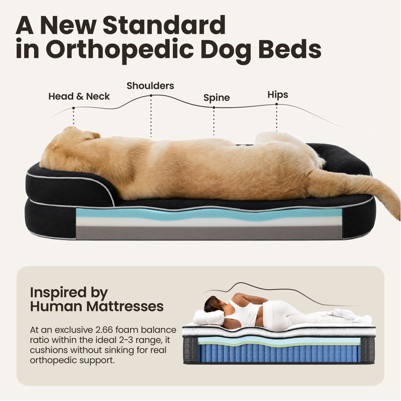Lesure RealOrtho 3-Layer Orthopedic & Memory Foam Sofa with Removable Cover Dog Bed, L (7" H x 35" W x 25" D), Black