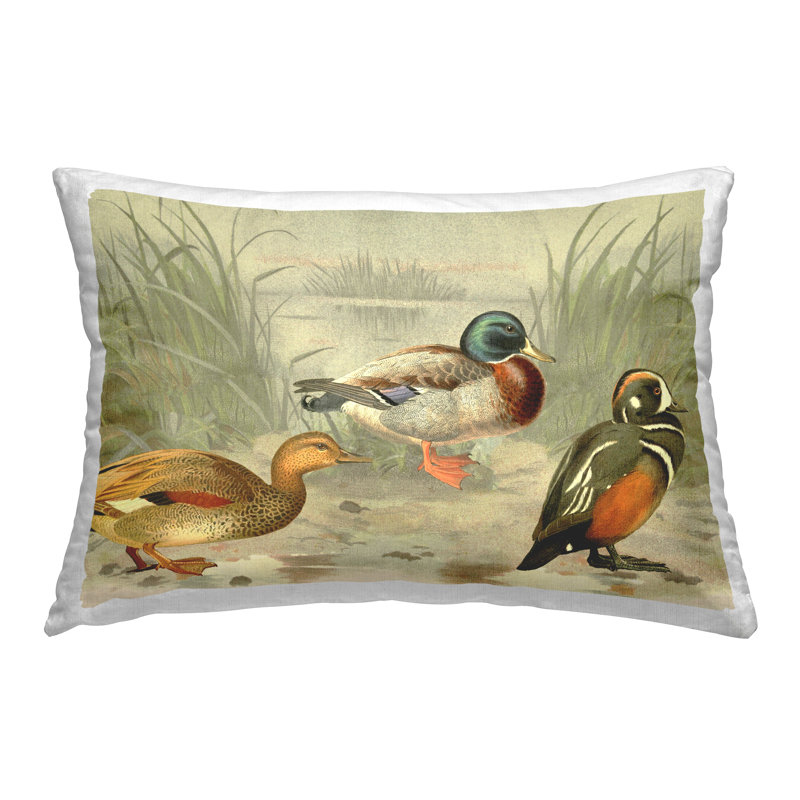 Coussin décoratif imprimé canards et étang par Gail Fraser