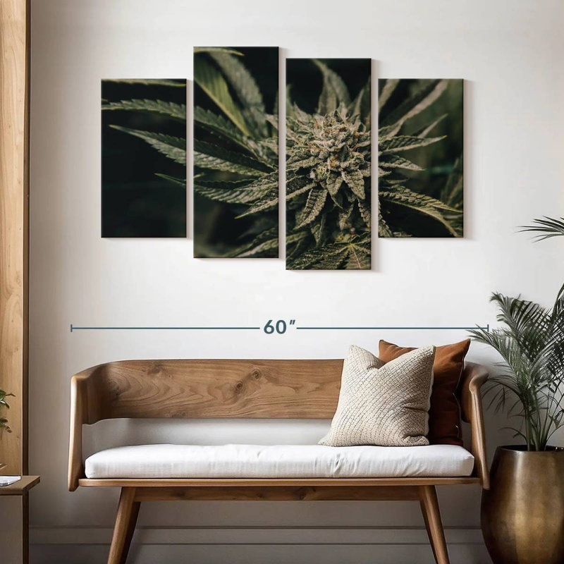 Senne Marijuana Plant, 32" H x 52" W