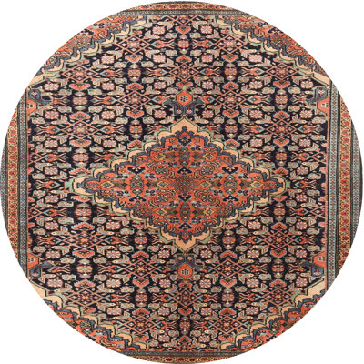 Oriental Indoor Rug