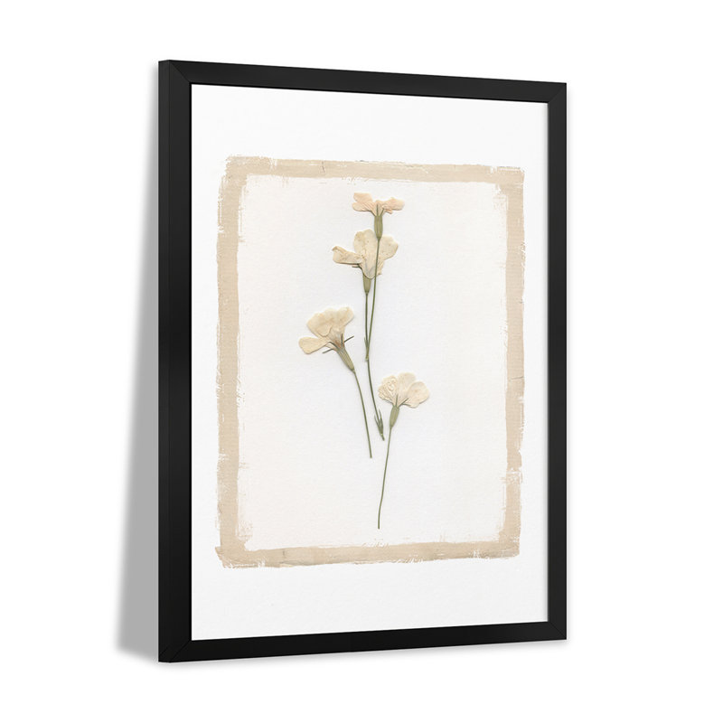 «Garden Pressed Flowers IV» - reproduction d'art murale - affiche de galerie, H 32 po x l 24 po