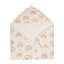 Parker Baby Hooded Towel (rainbow)