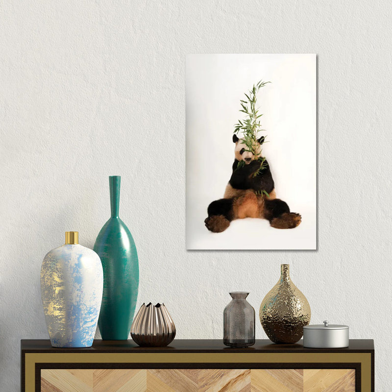 A Giant Panda At Zoo Atlanta I 1 Piece Wall Art on Canvas, 30.48 cm H x 45.72 cm W, Canvas