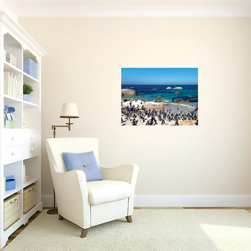 Pingouin paradis - photographie, Papier, Pas de tapis, H 18 po x l 24 po x P 0,15 po