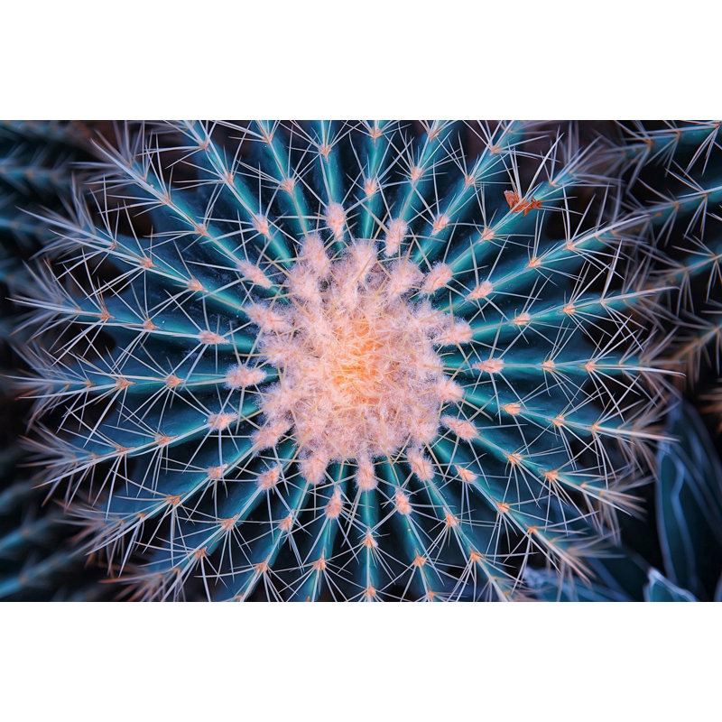 Wrapped Canvas Print, 51cm H x 76cm W
