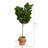 72 " H Faux Fiddle Leaf Fig Tree