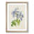 Oak Framed selected