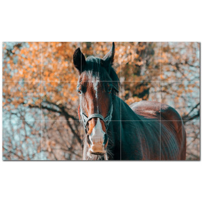 Murale en céramique satinée cheval photo 12 po x 12 po