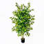 Ficus Artificial de 150 cm con Doble Tronco y Hojas Realistas para Interior y Exterior – Incluye Maceta Negra – Verde, 150 cm