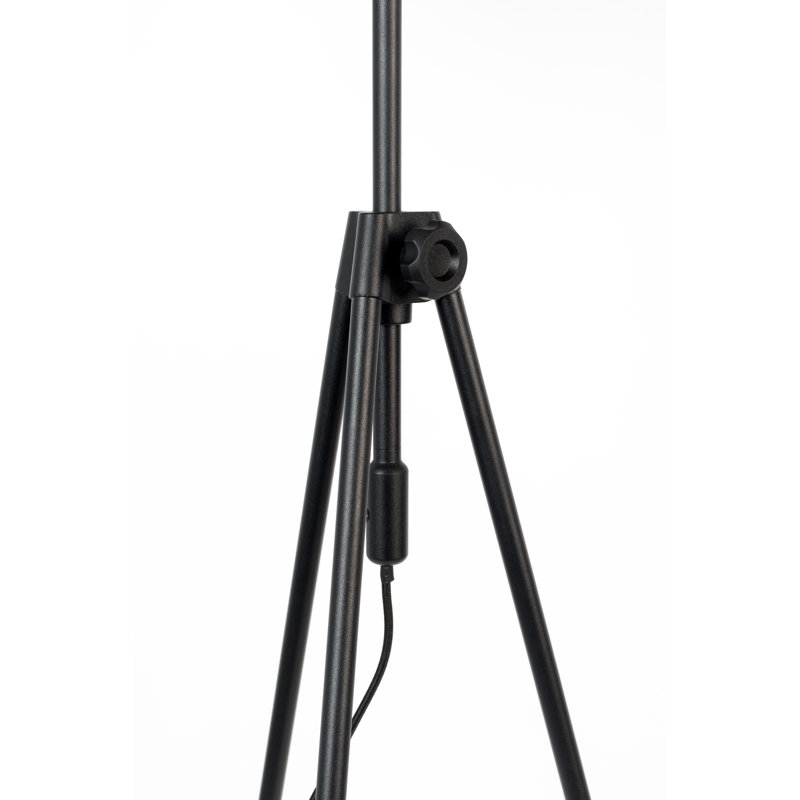 Tripod Floor Lamp, Black, Black