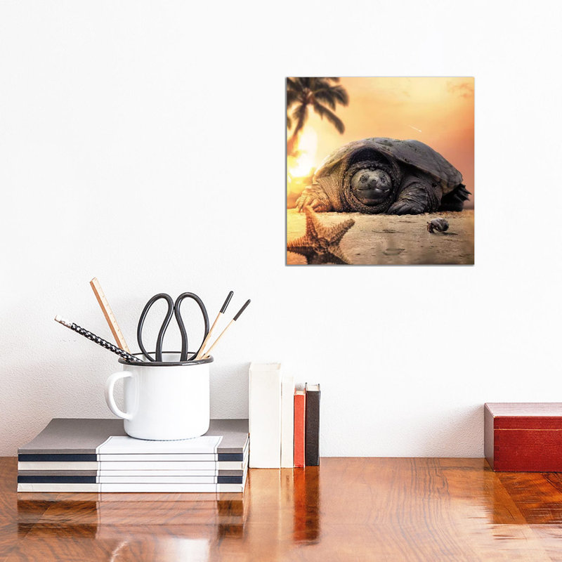 Tortoise by Zenja Gammer - Wrapped Canvas Print, 30.48 cm H x 30.48 cm W