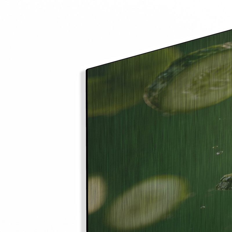  «Fresh Cucumber 3» par Ann Klee, art mural en métal, 24 po x 36 po