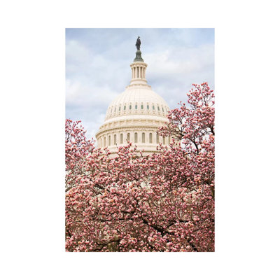 Cherry Blossoms At The Capitol Building 1 Piece Wrapped Canvas Wall Art