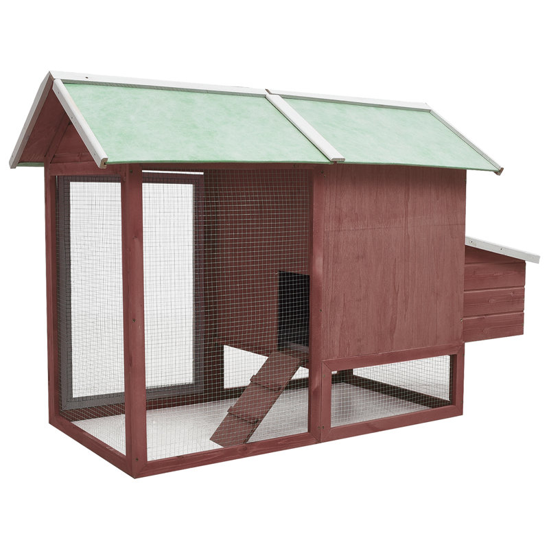 Cage à poulet Vidaxl en pin massif et bois de sapin 66,9 po x 31,9 po x 43,3 po, Mocha/Green